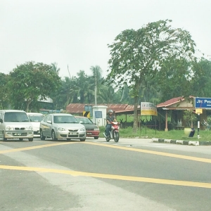 Taman Peserai Mewah