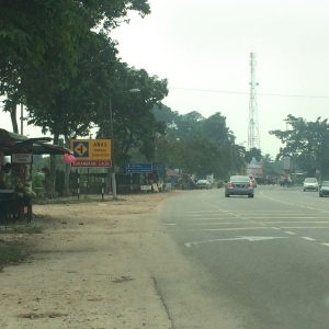 Taman Peserai Mewah